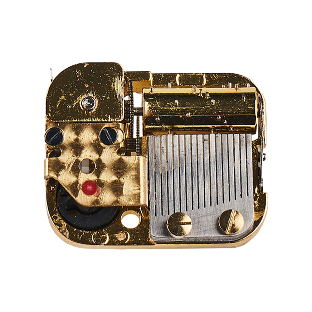 YM5